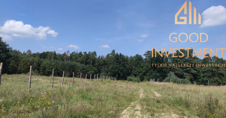 Działka Sprzedaż Kościno 4