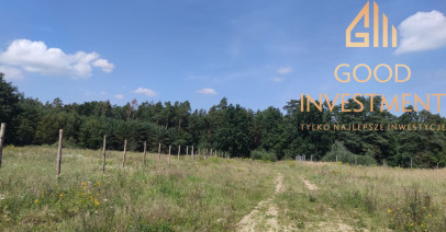 Działka Sprzedaż Kościno
