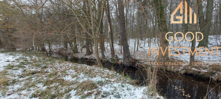 Działka Sprzedaż Budzieszowce 3